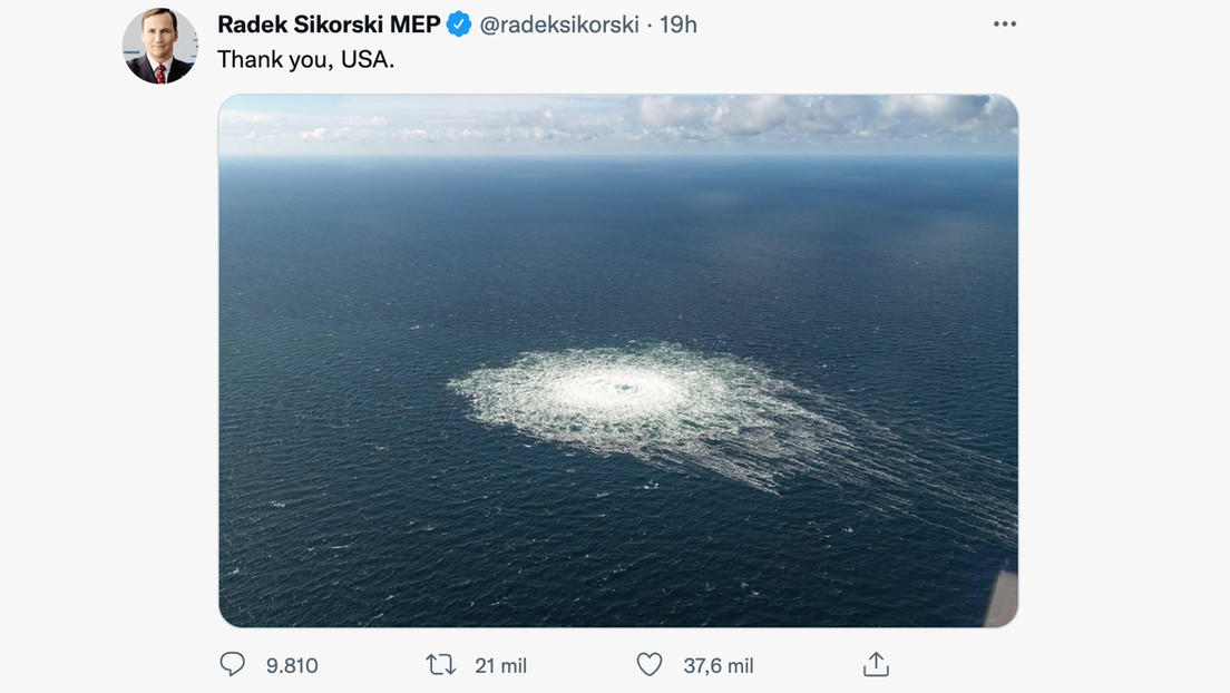 "Gracias EE.UU.": Eurodiputado polaco agradece a Washington por los daños a los gasoductos Nord Stream