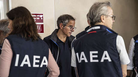 "Ineficaces, cobardes, poco profesionales": Asesor de Zelenski desconfía del OIEA y la ONU por defecto