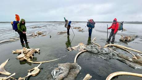 Pensaron que era una pila de basura, pero descubrieron un 'cementerio' de huesos (FOTOS)