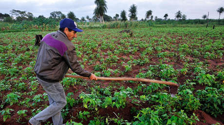 Campesinos de Paraguay levantan las protestas tras llegar a un acuerdo con el Gobierno