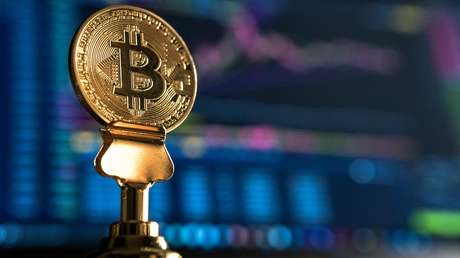 El autor de la teoría del 'cisne negro' cree que los años de interés cero en EE.UU. han creado "tumores como el bitcóin"