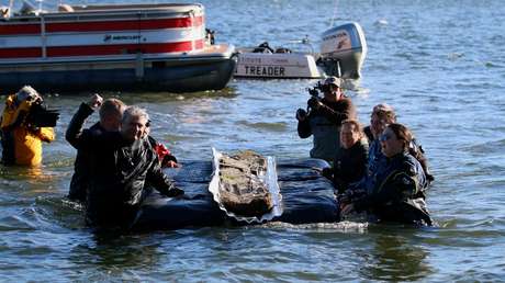 Hallan una canoa de 3.000 años en un lago de EE.UU.