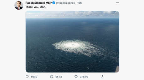 "Gracias EE.UU.": Eurodiputado polaco agradece a Washington por los daños a los gasoductos Nord Stream