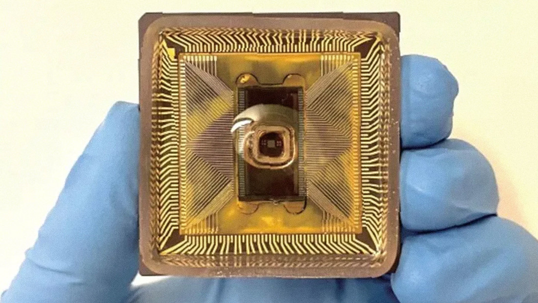 Desarrollan un nuevo circuito inspirado en la forma en que el cerebro transporta la información en un medio líquido