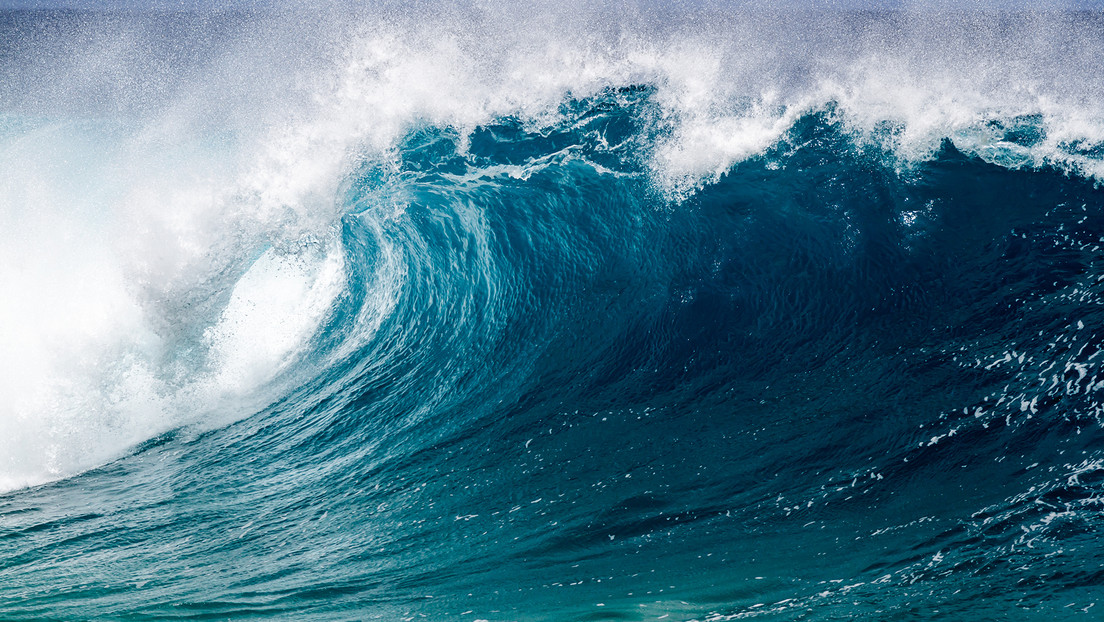 Científicos piden que se reconozca a los océanos como seres vivientes con derechos fundamentales