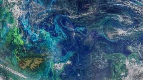 Descubren qué provoca el aumento a "ritmo alarmante" de la temperatura de las aguas del Pacífico sur