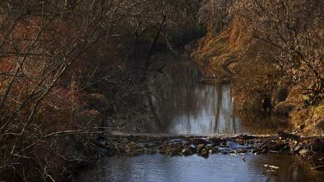 Hallan residuos radiactivos en una escuela primaria de EE.UU.