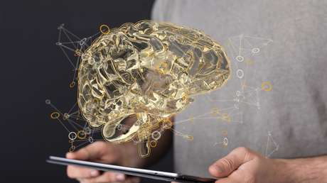 ¿Nuestros cerebros funcionan como computadoras cuánticas?