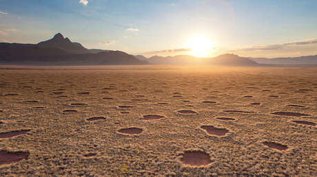 Científicos 'acorralan' el misterio de los 'anillos de hada' en Namibia y Australia