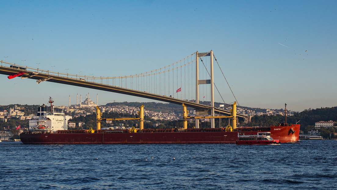 Turquía y Rusia acuerdan suministrar gratuitamente grano a los países necesitados, anuncia Erdogan