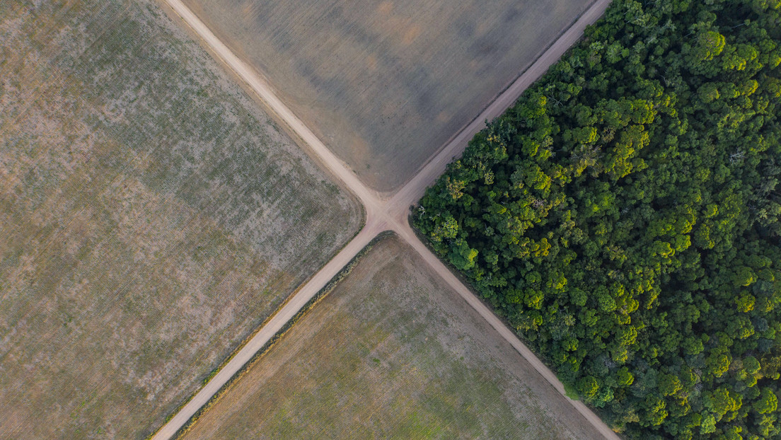 Deforestación cero y defensa de los pueblos indígenas: los retos de Lula en la Amazonía brasileña