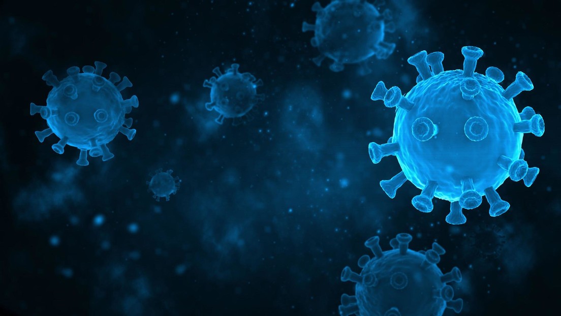 Descubren en murciélagos nuevas variantes de coronavirus con el potencial de infectar a los humanos