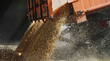 Turquía afirma que sus cargueros continúan exportando cereales desde Ucrania pese a que Rusia suspendió el acuerdo para el transporte de grano