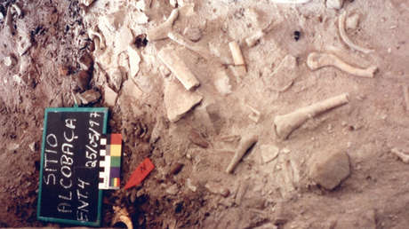 Revelan sorprendentes detalles de las poblaciones de América del Sur con análisis de ADN antiguo