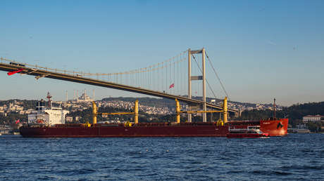 Turquía y Rusia acuerdan suministrar gratuitamente grano a los países necesitados, anuncia Erdogan