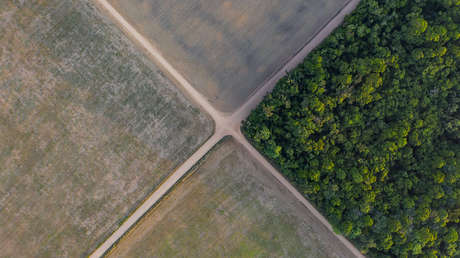 Deforestación cero y defensa de los pueblos indígenas: los retos de Lula en la Amazonía brasileña