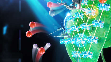 Crean un sistema de fotosíntesis artificial 10 veces más eficiente que los ya existentes