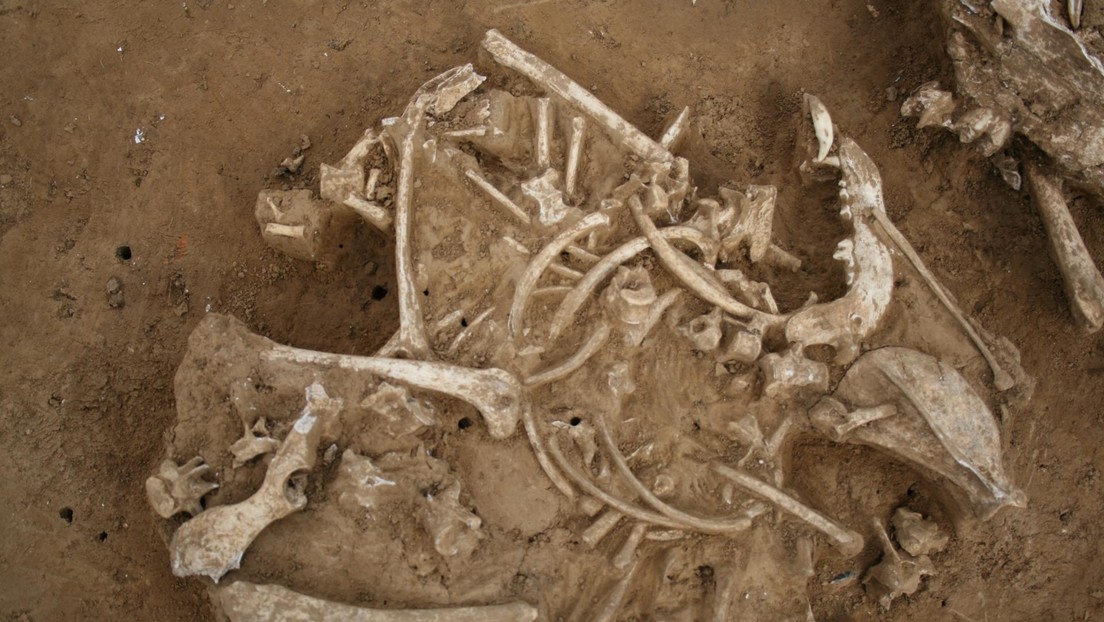 Descubren un santuario en Francia utilizado por los galos para destruir armaduras romanas (FOTOS)