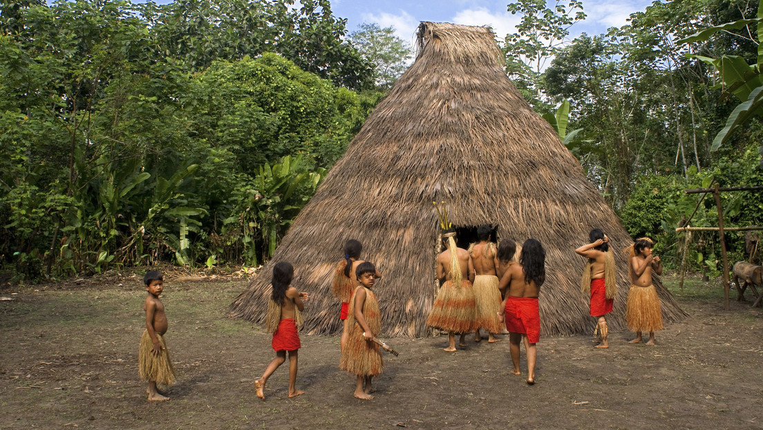 Una ley que pone en riesgo a indígenas aislados podría aprobarse en medio de la crisis en Perú