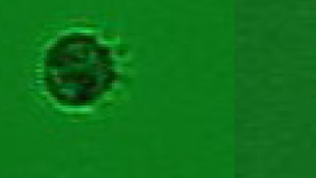 Descubren al primer microorganismo que se alimenta exclusivamente de virus