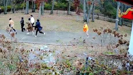 VIDEO: Ladrones atacan a un monje y roban un templo budista en EE.UU.