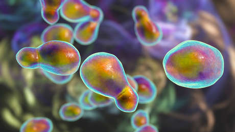 Dictan órdenes de detención contra dueños de hospitales privados por casos de meningitis en México