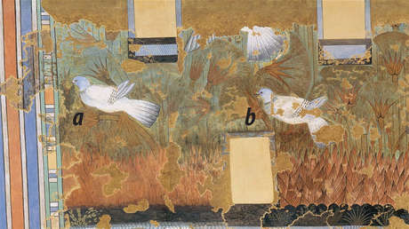 Un fresco del antiguo Egipto era tan detallado que logran identificar las especies de aves pintadas en él