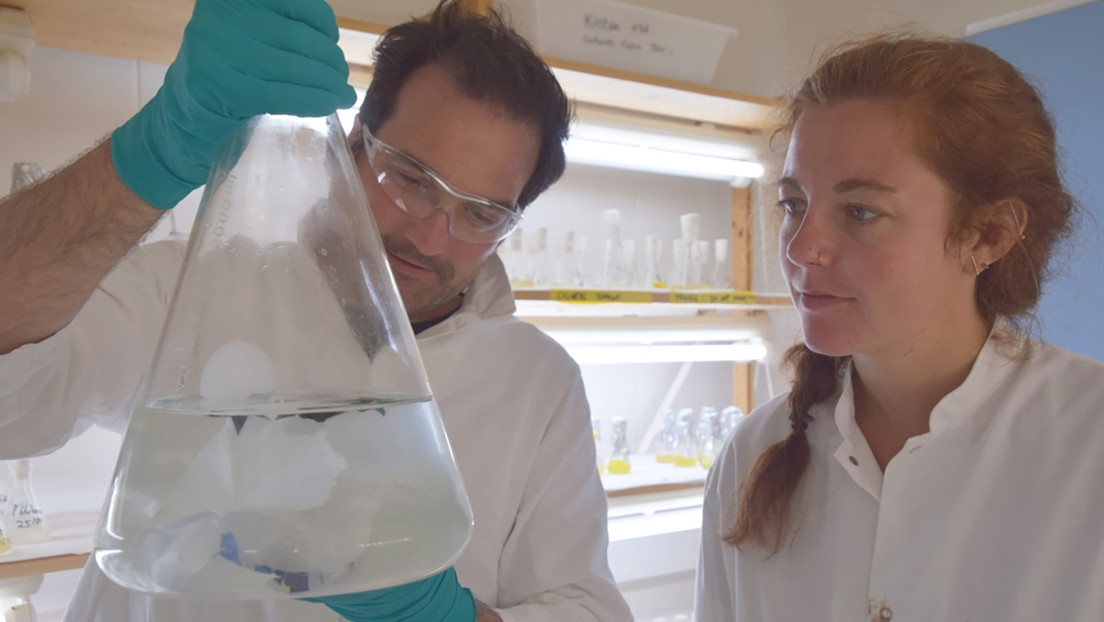 Descubren que esta bacteria puede comer y digerir el plástico vertido al mar