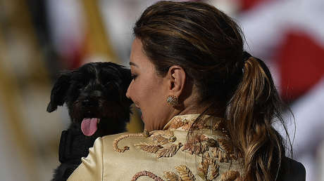 Resistencia, la perra callejera adoptada por Lula que participó en su toma de posesión (FOTOS)