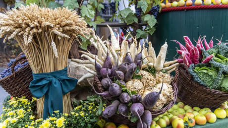 ONU: Los precios mundiales de los alimentos alcanzan un nivel récord en 2022