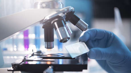 Hallan en Ecuador un hongo con gran potencial antibacteriano