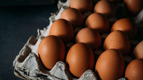 Aumenta el contrabando de huevos mexicanos en la frontera de EE.UU. a medida que se disparan los precios