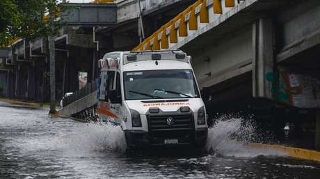 Emiten en México un aviso epidemiológico ante varios casos de rabia humana
