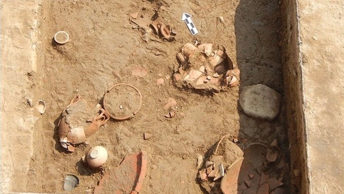 Descubren el lugar de la Gran Revuelta egipcia registrada en la piedra de Rosetta