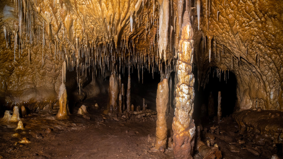 Hallan una cueva en España con zarpazos de osos gigantes