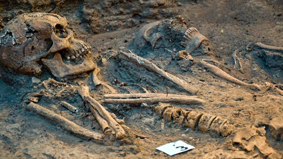 Hallazgo de un cementerio virreinal en Chapultepec evidenciaría el choque de dos culturas en México