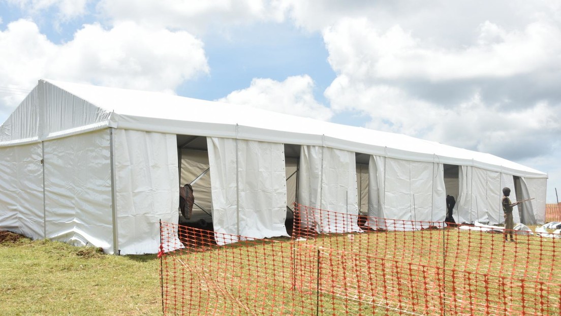 Se registra en África un brote del virus de Marburgo: ¿qué es y podría propagarse a otros continentes?