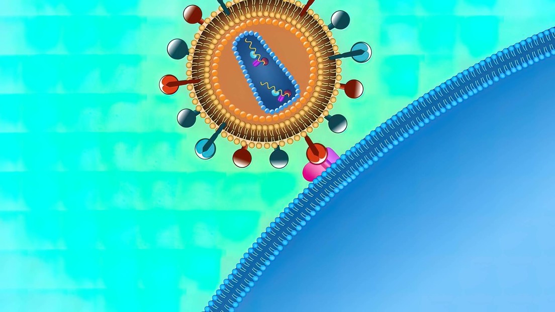 Curan completamente el VIH en un hombre al trasplantarle células madre