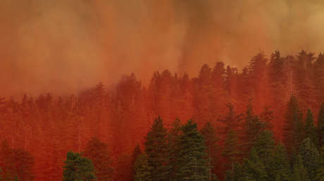 Biden: El calentamiento global es "una amenaza existencial" mayor que una guerra nuclear