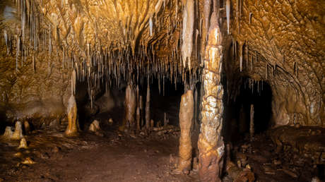 Hallan una cueva en España con zarpazos de osos gigantes