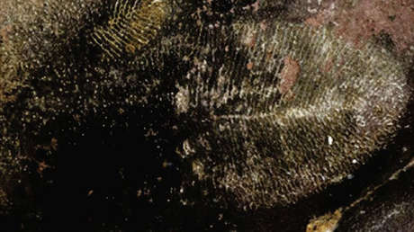 Un 'fósil' erróneo hace reescribir la historia del subcontinente indio