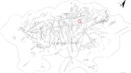 Encuentran un tesoro de especias exóticas en un barco hundido hace más de 500 años en Suecia