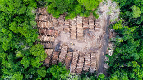 EE.UU. confirma su participación en el Fondo Amazónico y anunciará en las próximas semanas su aporte