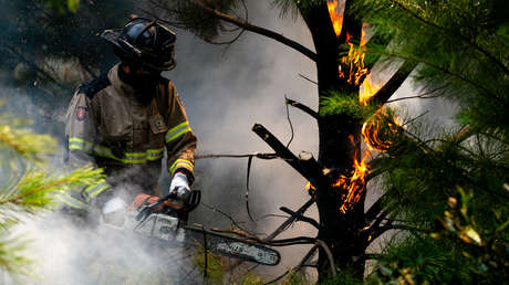 El Gobierno chileno expresa su "gran preocupación" en medio de la ola de incendios forestales