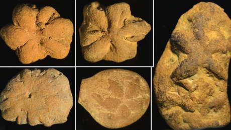 Descubren que unos antiguos fósiles encontrados en EE.UU. no pertenecen a ningún ser vivo