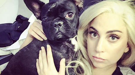 Mujer relacionada con el robo de los perros de Lady Gaga demanda a la cantante