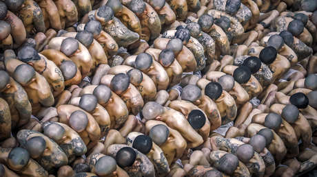 "No van a salir": Gobierno de El Salvador sobre los presuntos pandilleros internados en megacárcel