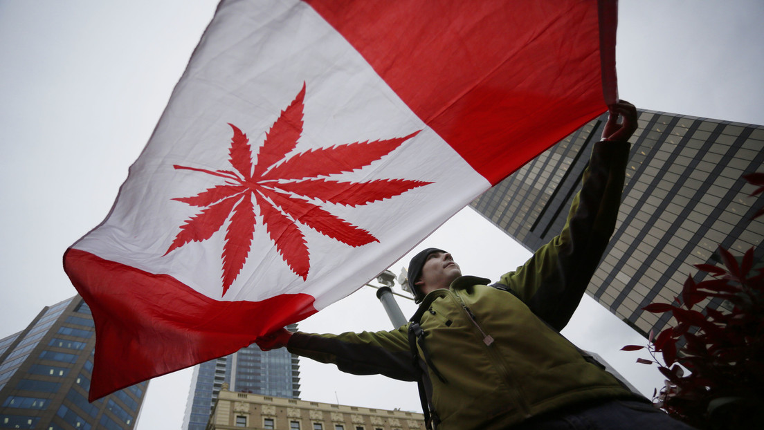 Empresa biotecnológica obtiene licencia para producir y vender cocaína y heroína en Canadá