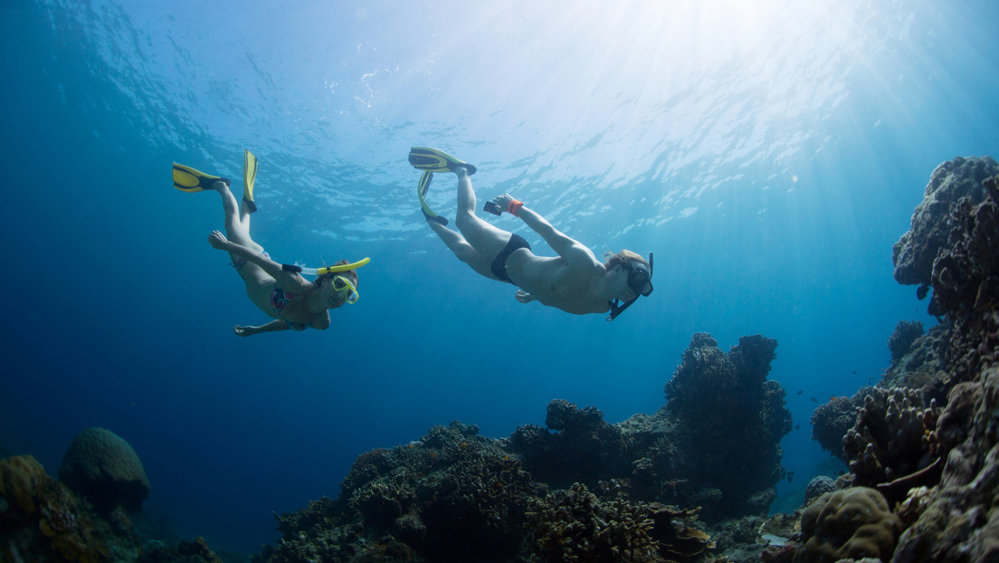 Pareja demanda a una empresa por abandonarlos en "mar abierto" mientras hacían esnórquel