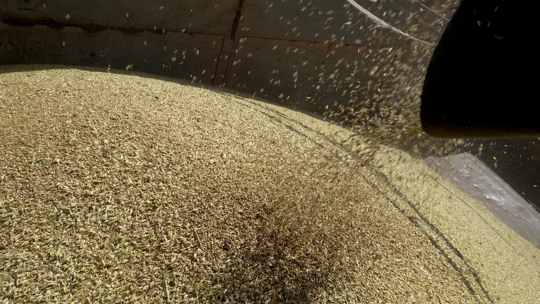 Zajárova: La decisión de Rusia de extender 60 días el acuerdo de granos es "un jarro de agua fría" para EE.UU. y la UE